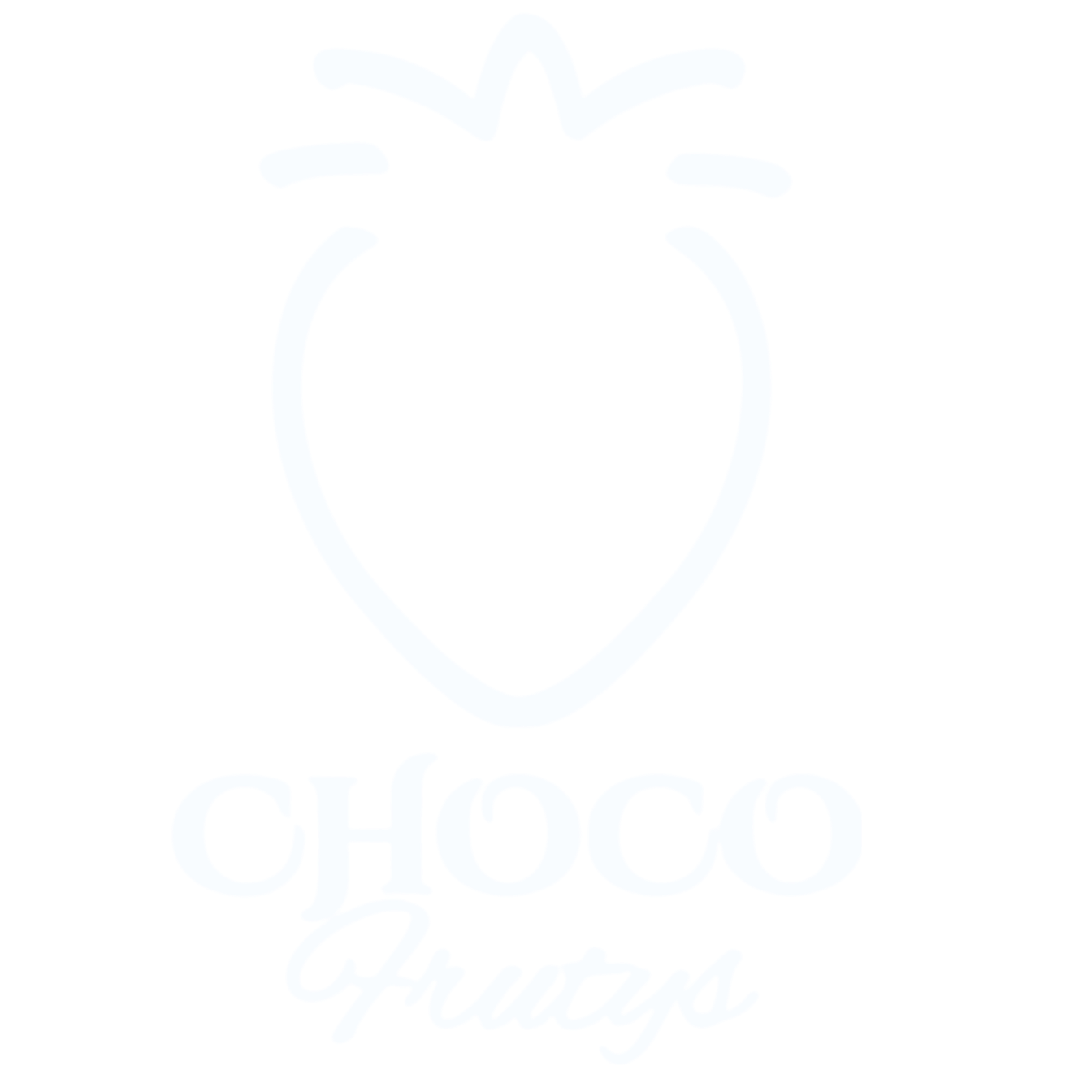 Chocofrutys